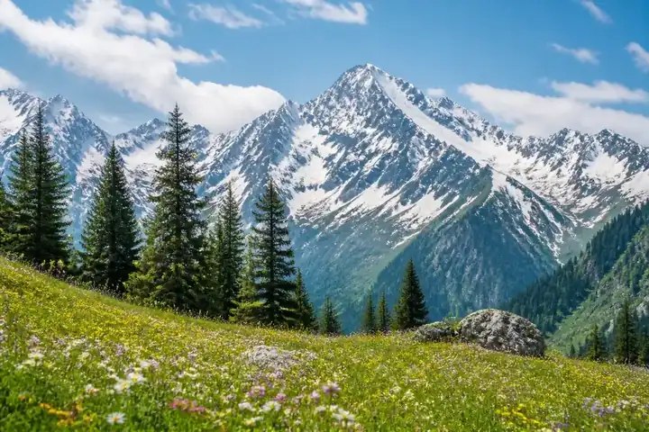 alpine — picture meaning