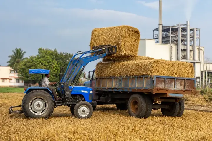 biomass — picture meaning