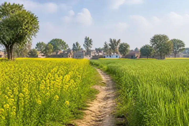 countryside — picture meaning