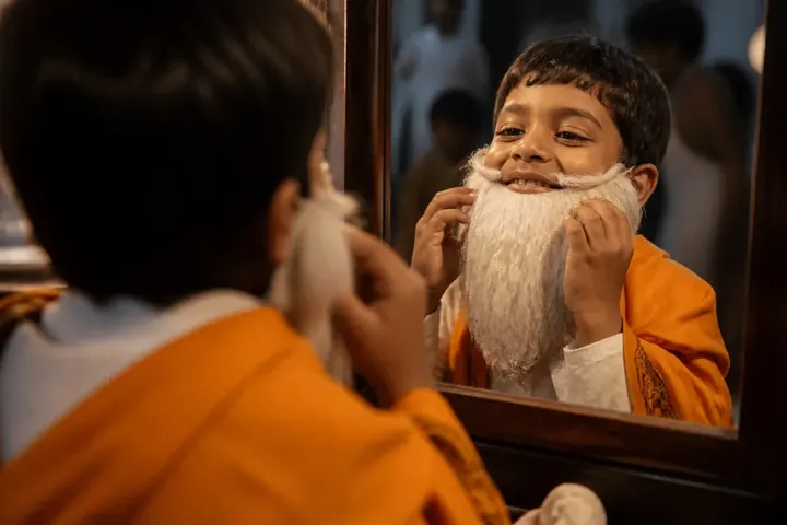 disguise — picture meaning