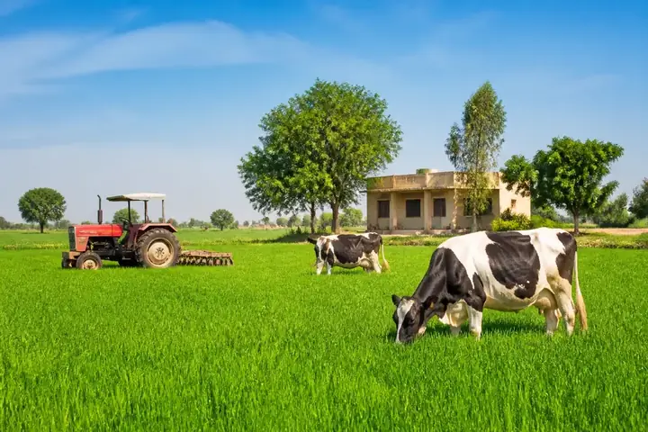 farm — picture meaning