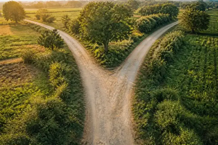 fork — picture meaning