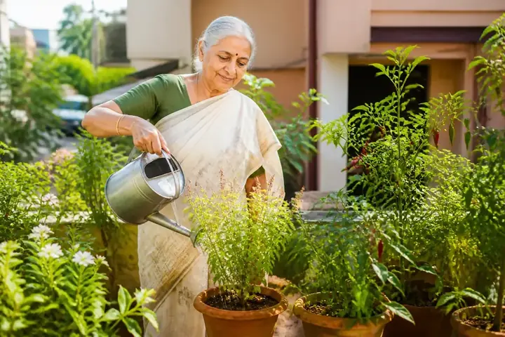 garden — picture meaning