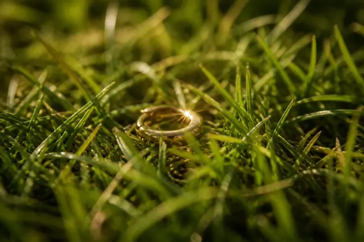 glint — picture meaning