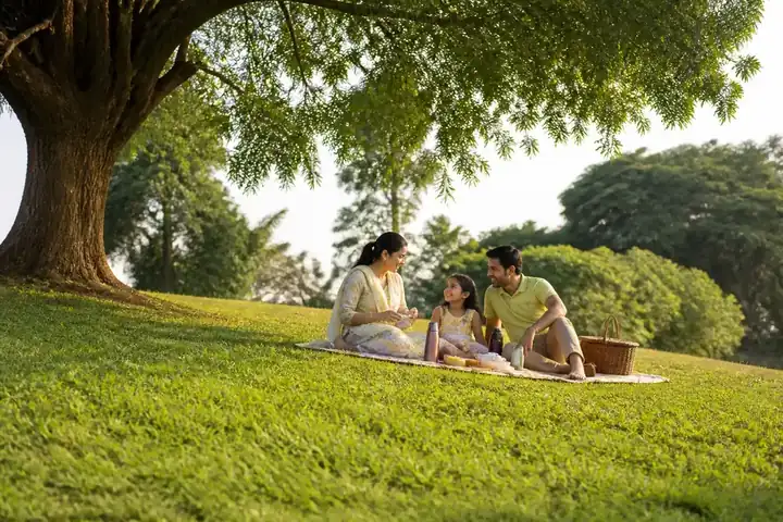grass in Everyday English