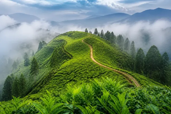 hill — picture meaning